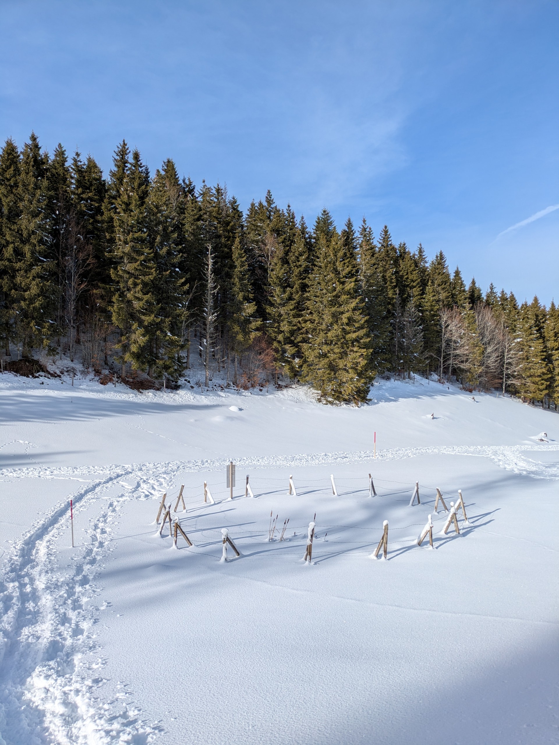 Small pond hidden under snow in the Jura mountains was created to support amphibians. ©Julie Fahy