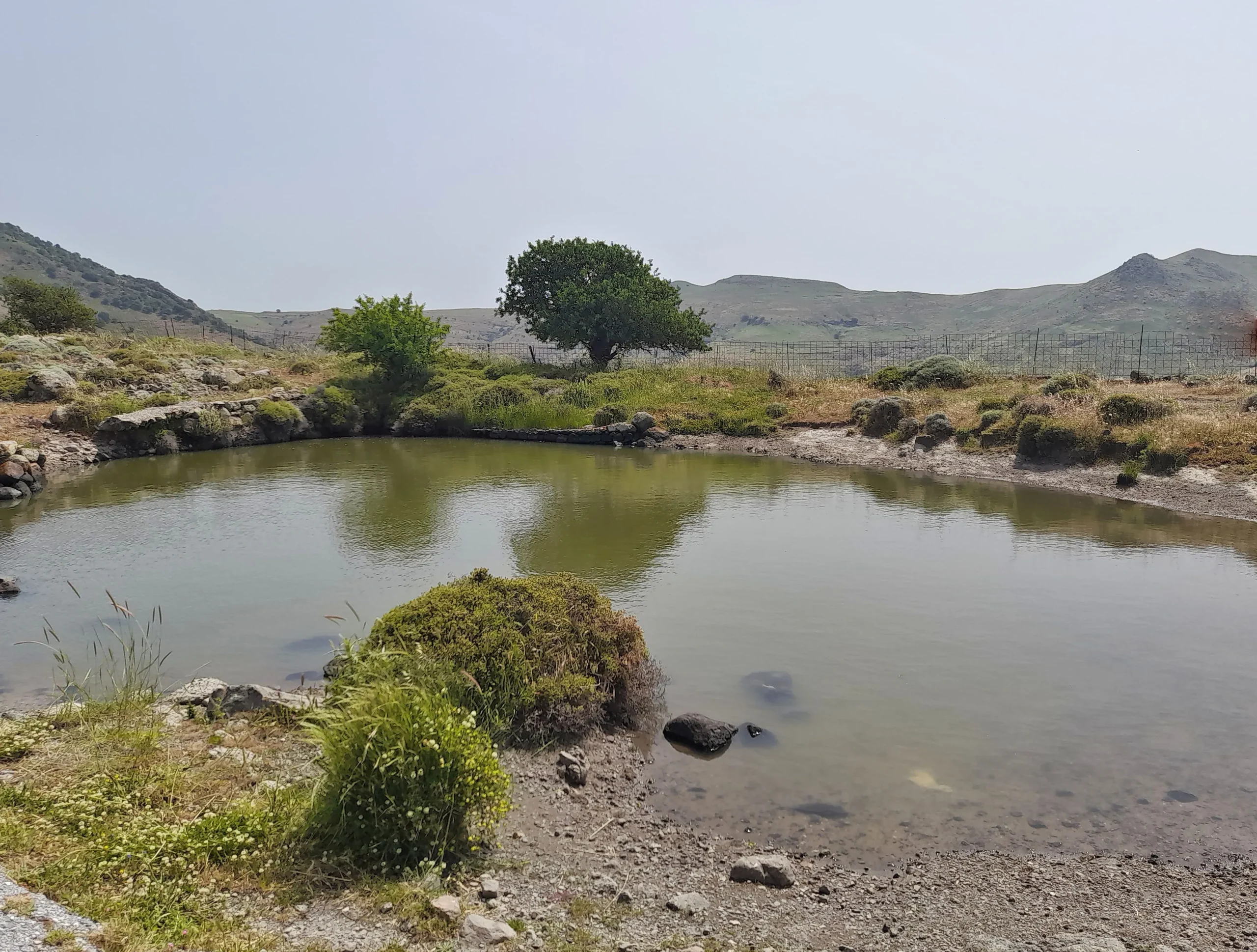 June 2026. A traditional sheep-watering pond excavated into volcanic rock on the island of Lesvos, Greece. ©Martin Hammond